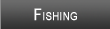 Taylorsville Lake Fishing